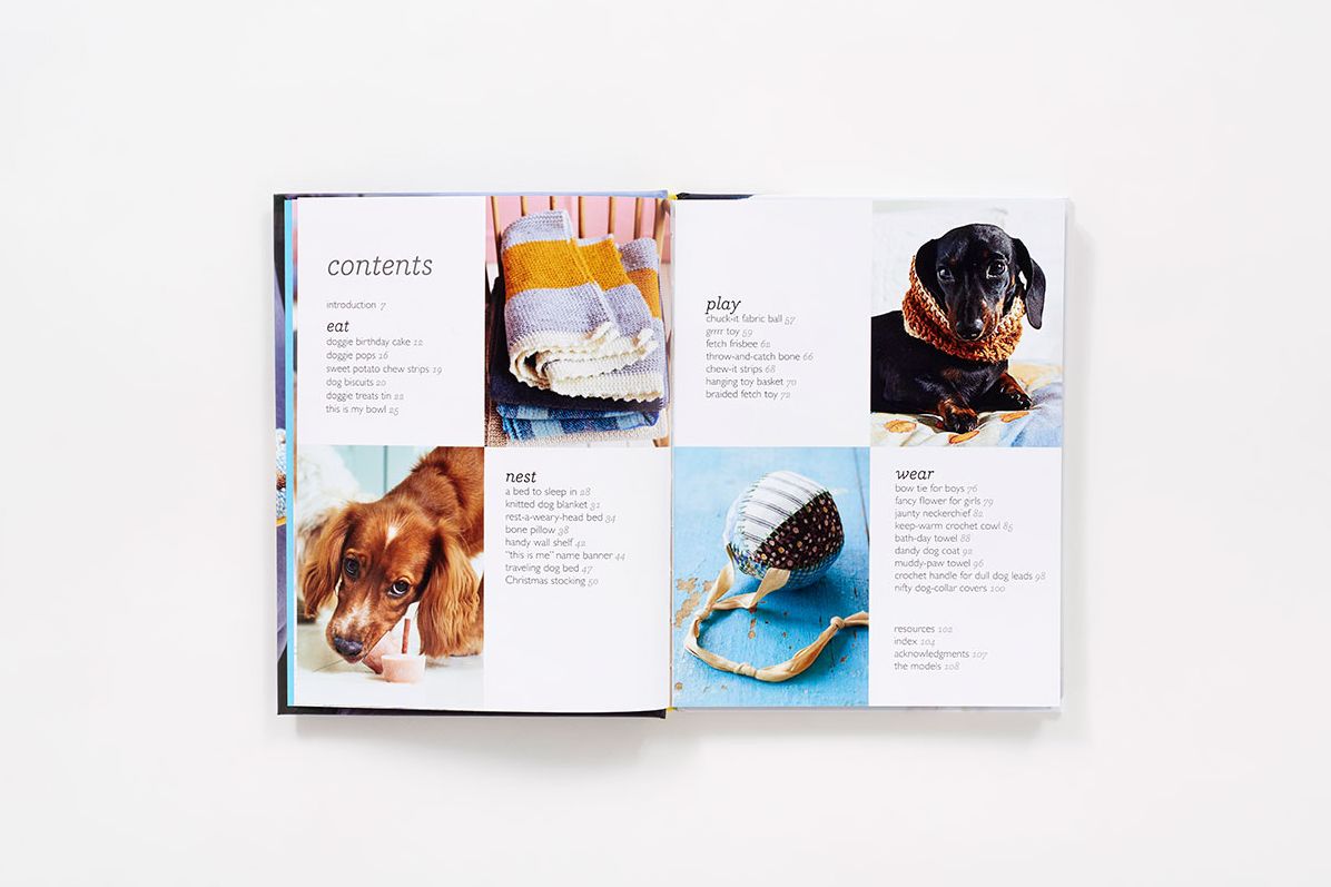 DIY for Your Dog: 30 Toys, Treats, and Treasures to Make
