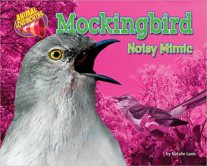 Mockingbird: Noisy Mimic