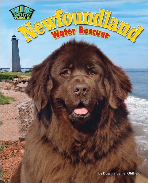 Newfoundland: Water Rescuer