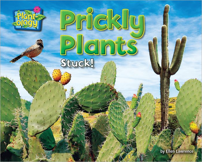 Prickly Plants: Stuck!