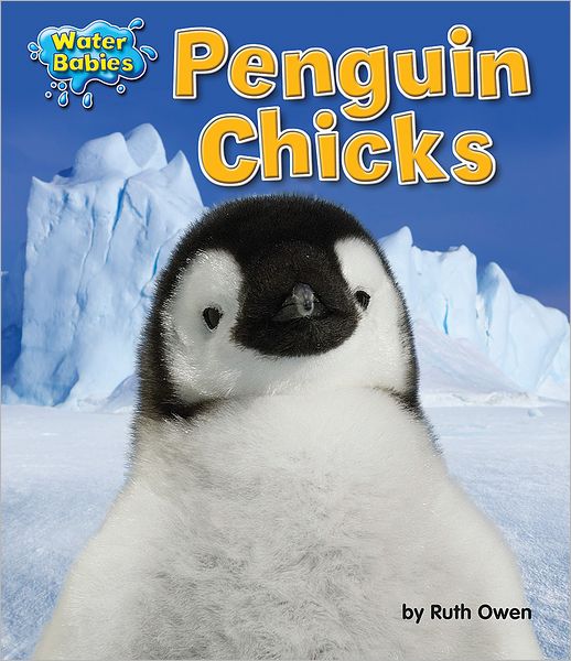 Penguin Chicks