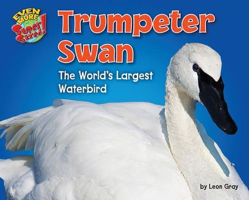 Trumpeter Swan: The World's Largest Water Bird