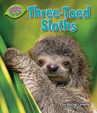 Three-Toed Sloths