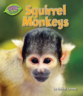 Squirrel Monkeys