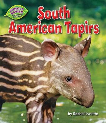 South American Tapirs