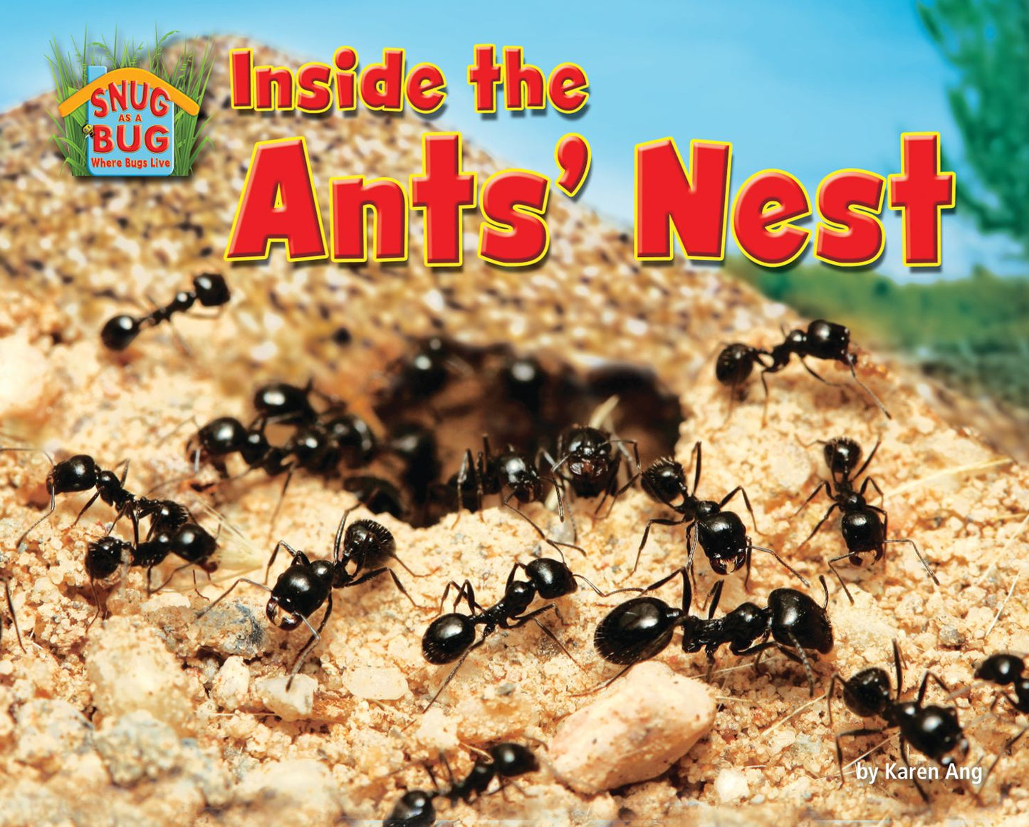 Inside the Ants' Nest