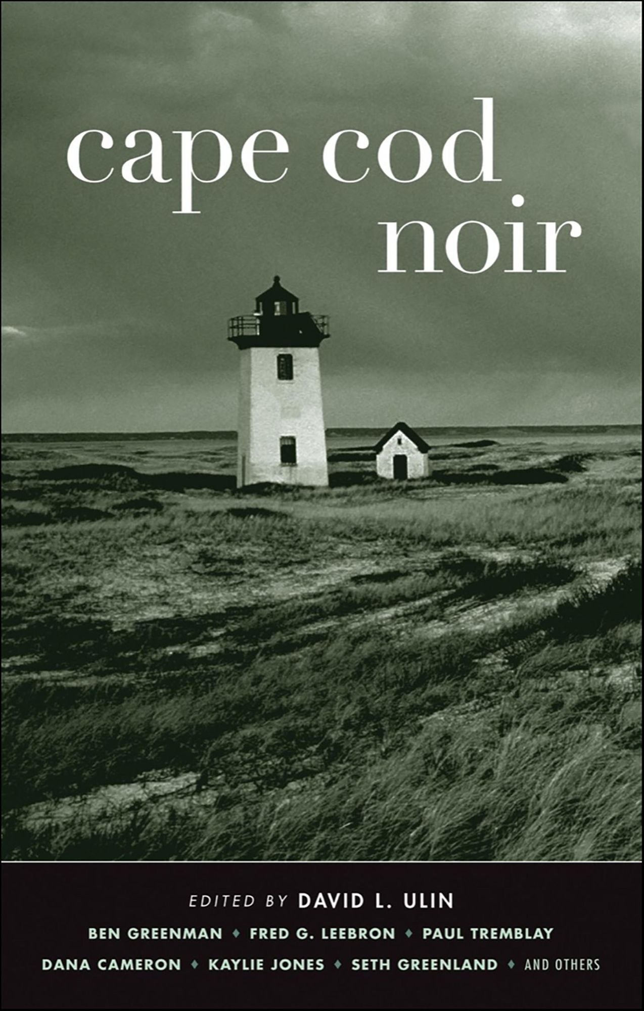 Cape Cod Noir (Akashic Noir)