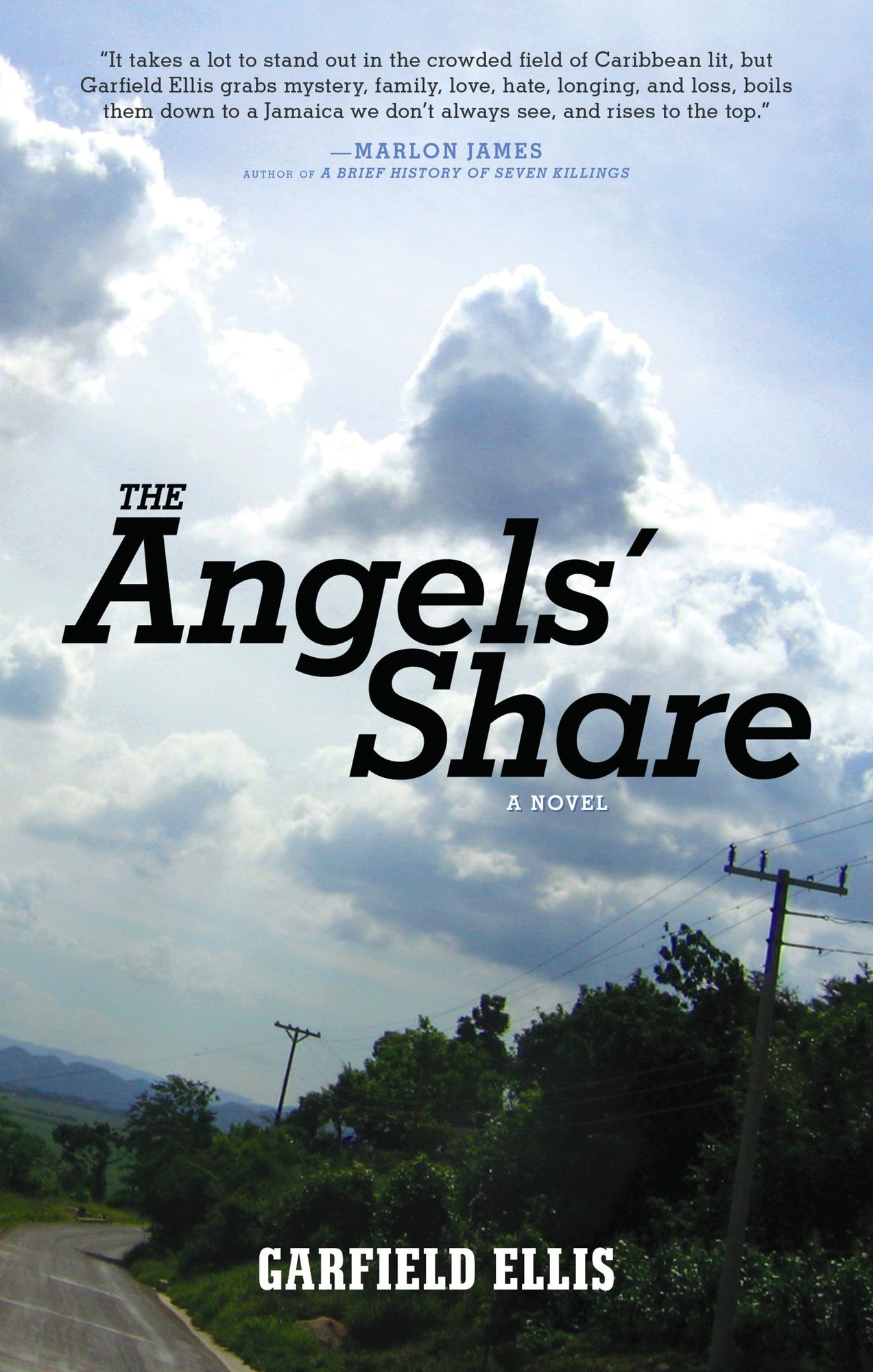 The Angels' Share: A Novel