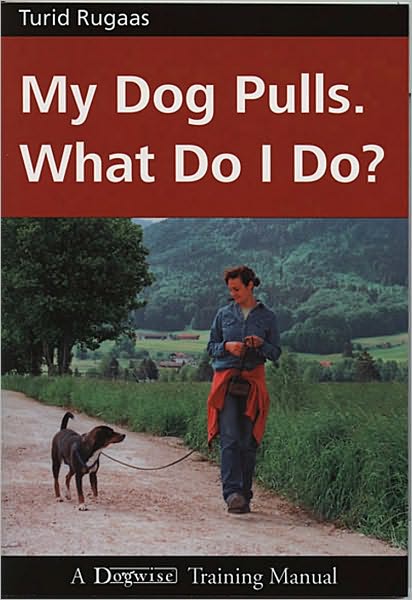 My Dog Pulls - What Do I Do?