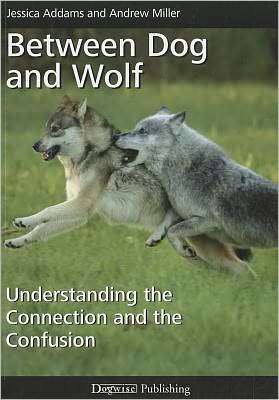 Between Dog and Wolf: Understanding the Connection and the Confusion