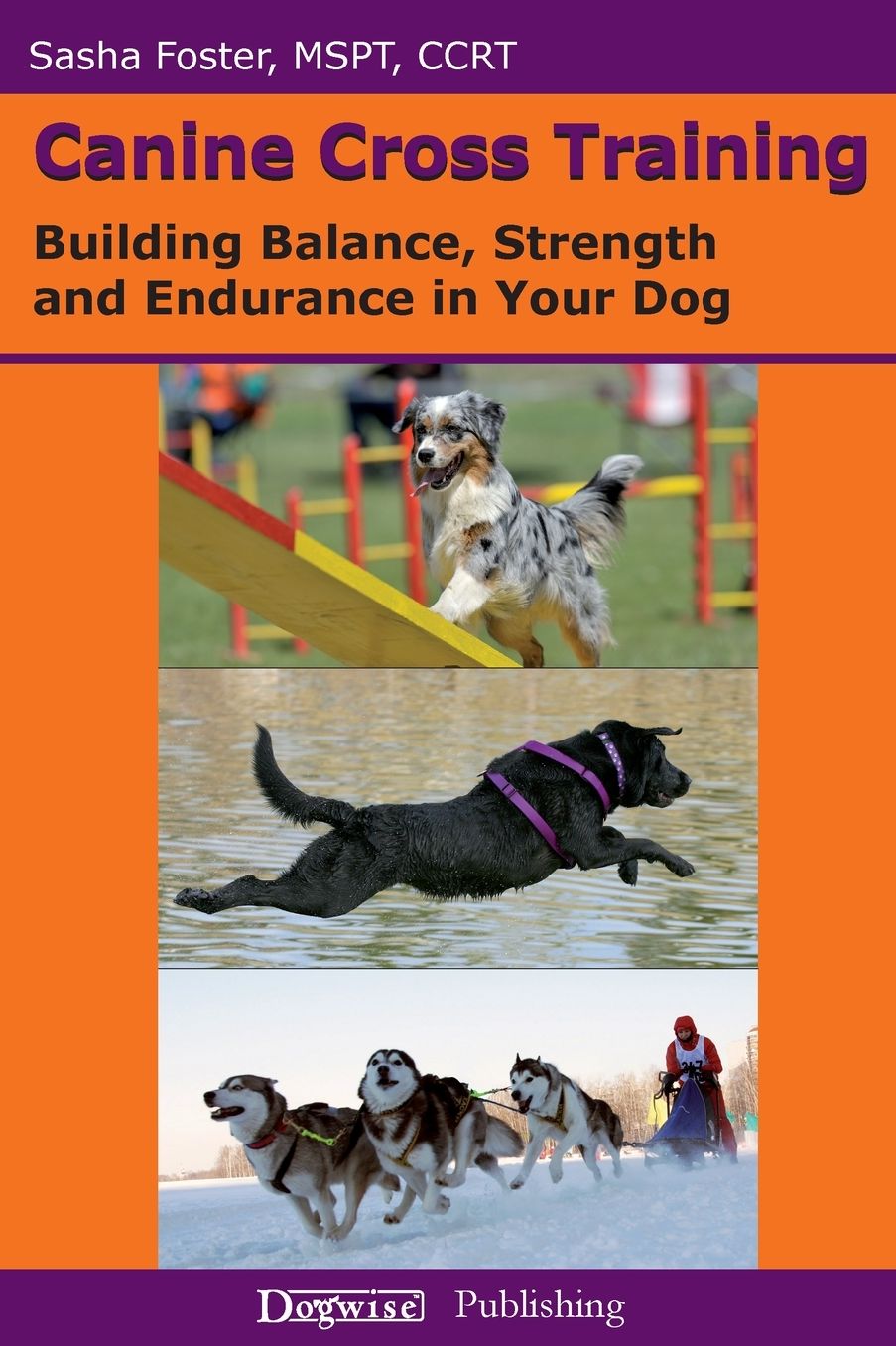 Canine Cross Training: Building Balance, Strength and Endurance in Your Dog