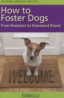 How to Foster Dogs : From Homeless to Homeward Bound