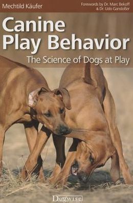 Canine Play Behavior : The Science of Dogs at Play