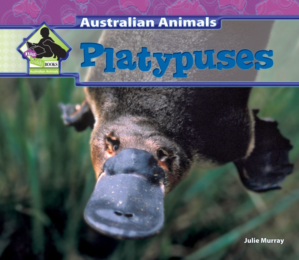 Platypuses eBook