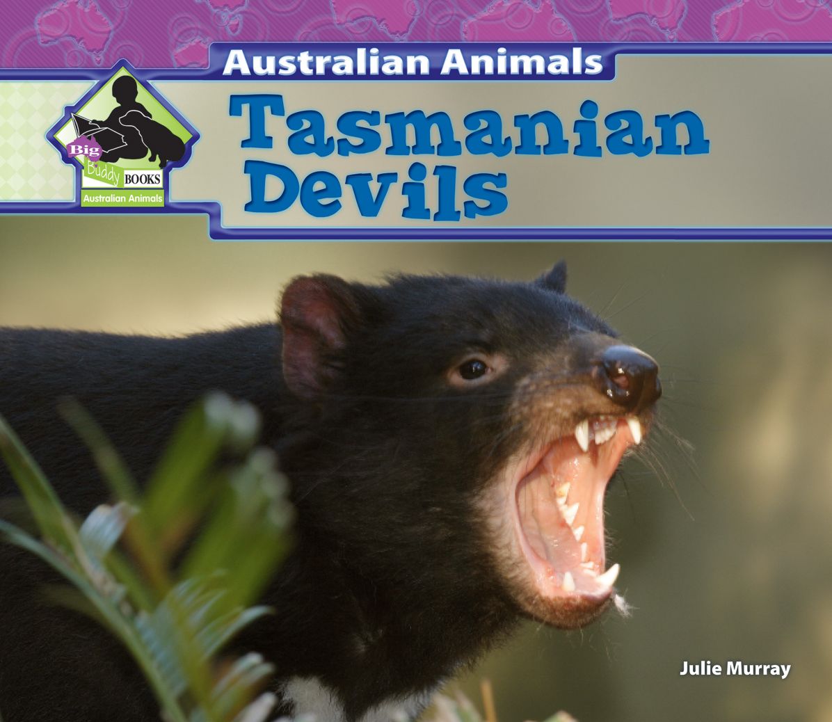 Tasmanian Devils eBook
