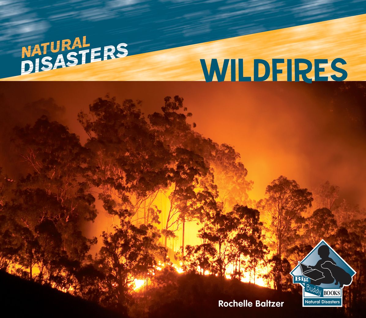 Wildfires eBook