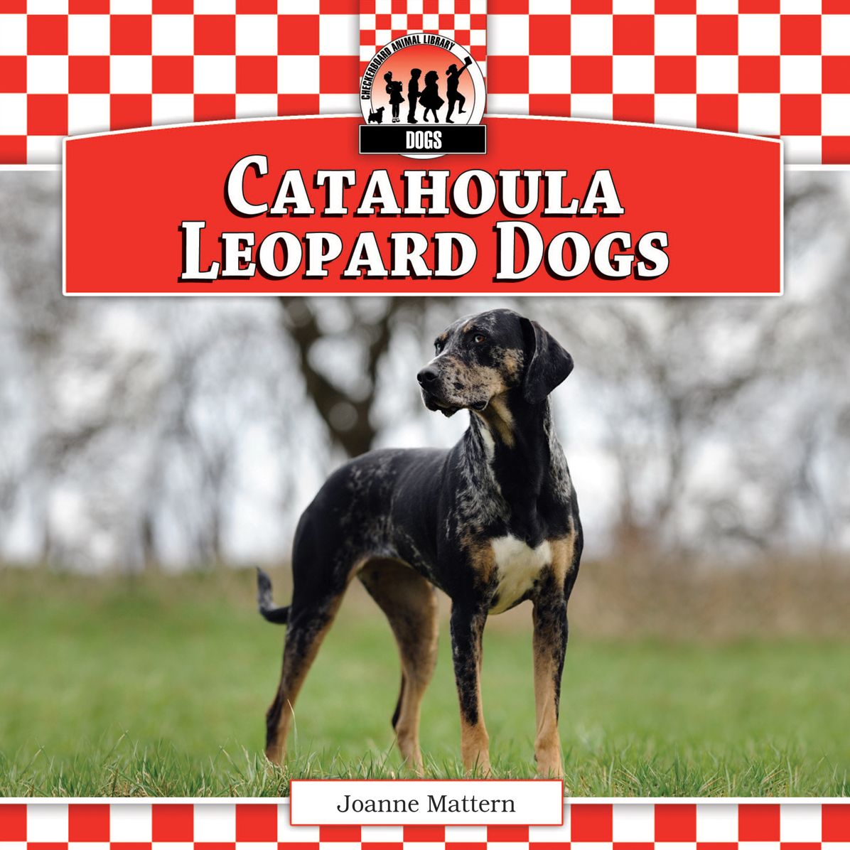 Catahoula Leopard Dogs eBook