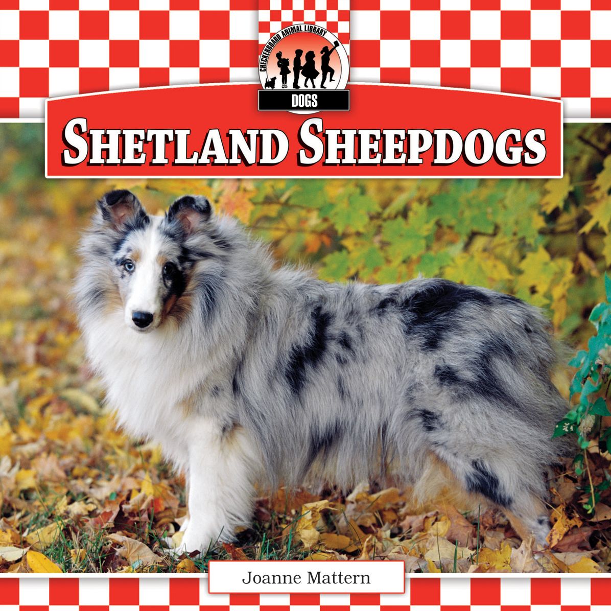 Shetland Sheepdogs eBook