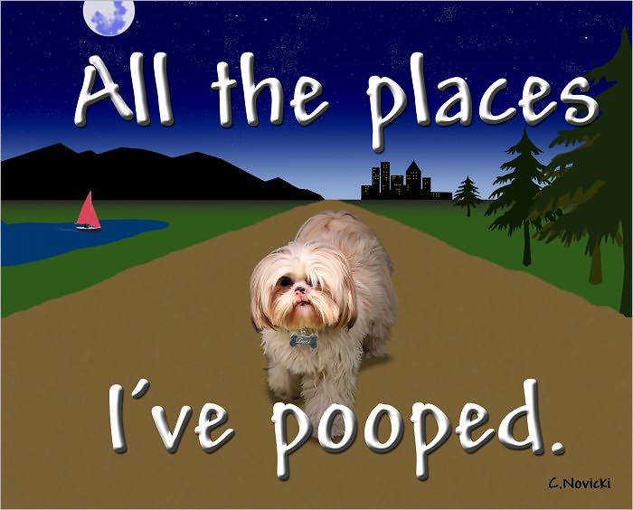All the places I've pooped.