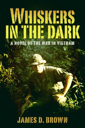 Whiskers in the Dark: A novel of the war in Vietnam