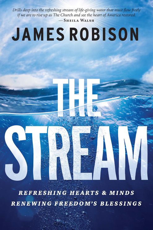 The Stream: Refreshing Hearts and Minds, Renewing Freedom's Blessings (Large Print -- QA test)