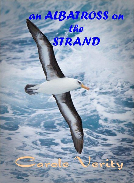 An Albatross on the Strand