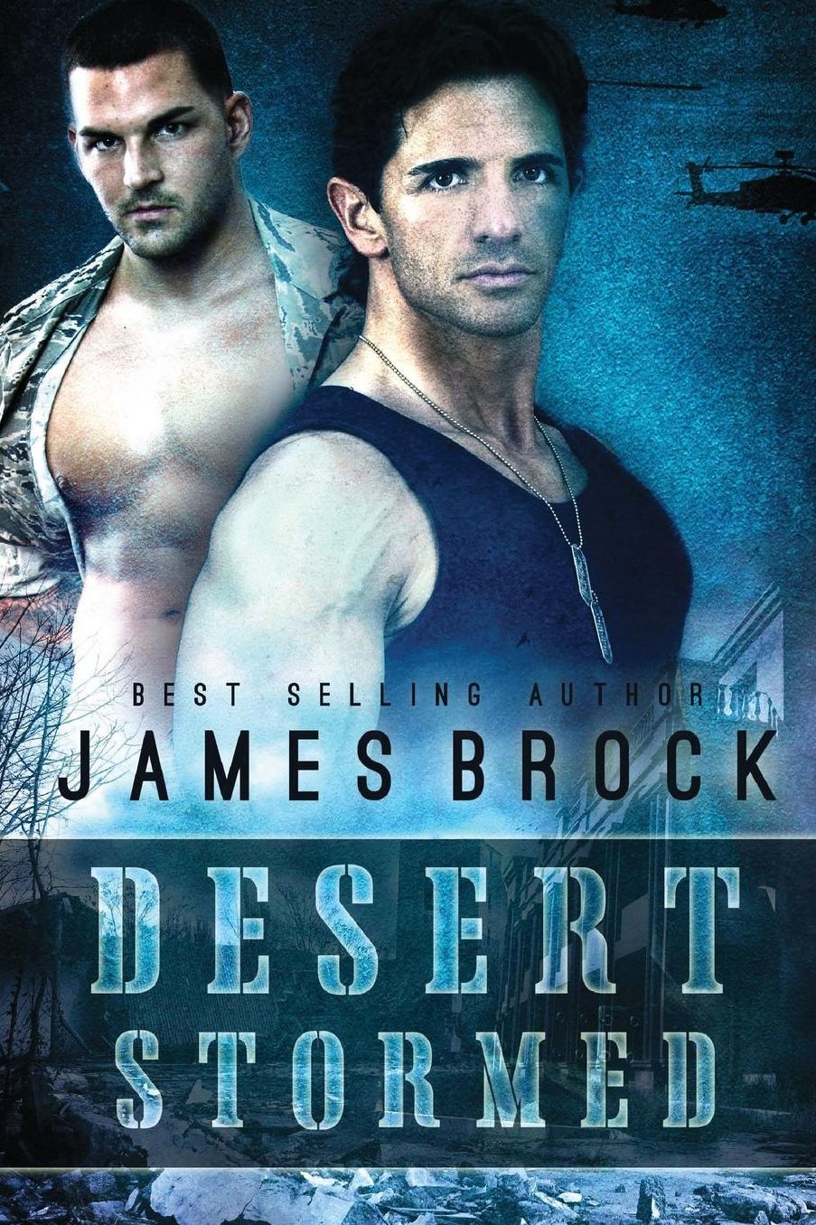 Desert Stormed (Large Print Edition)