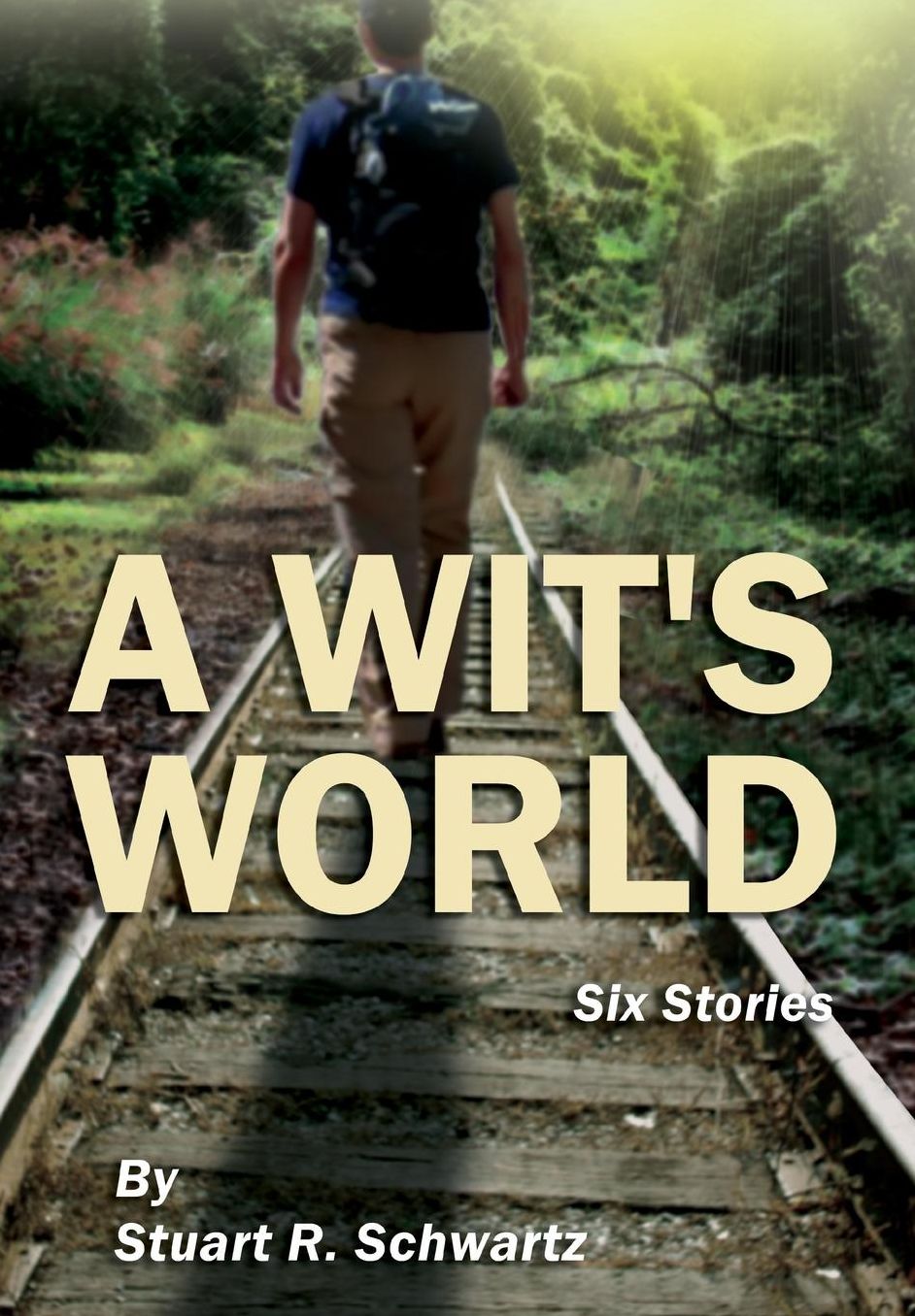 A Wit's World