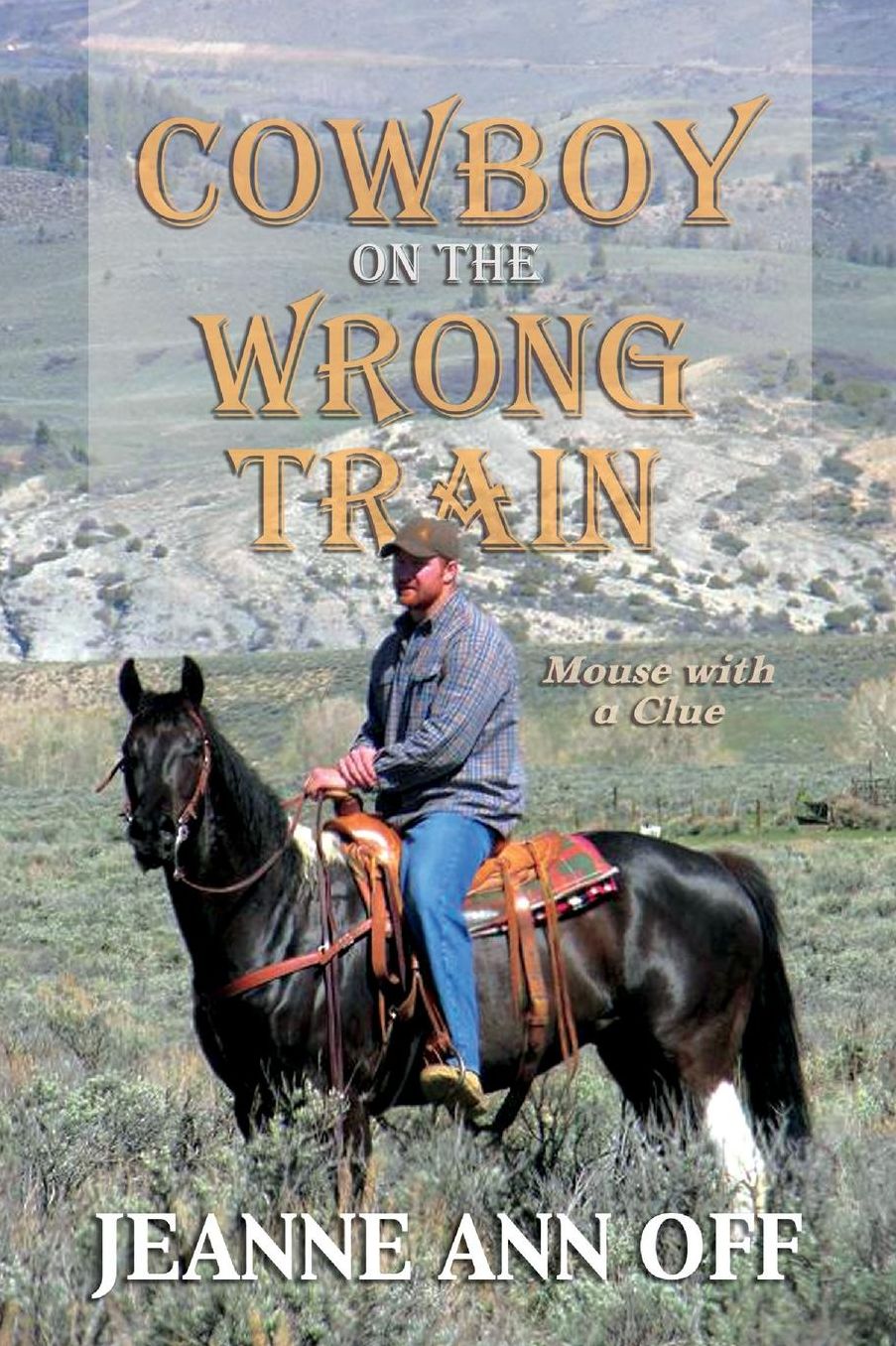 Cowboy on the Wrong Train