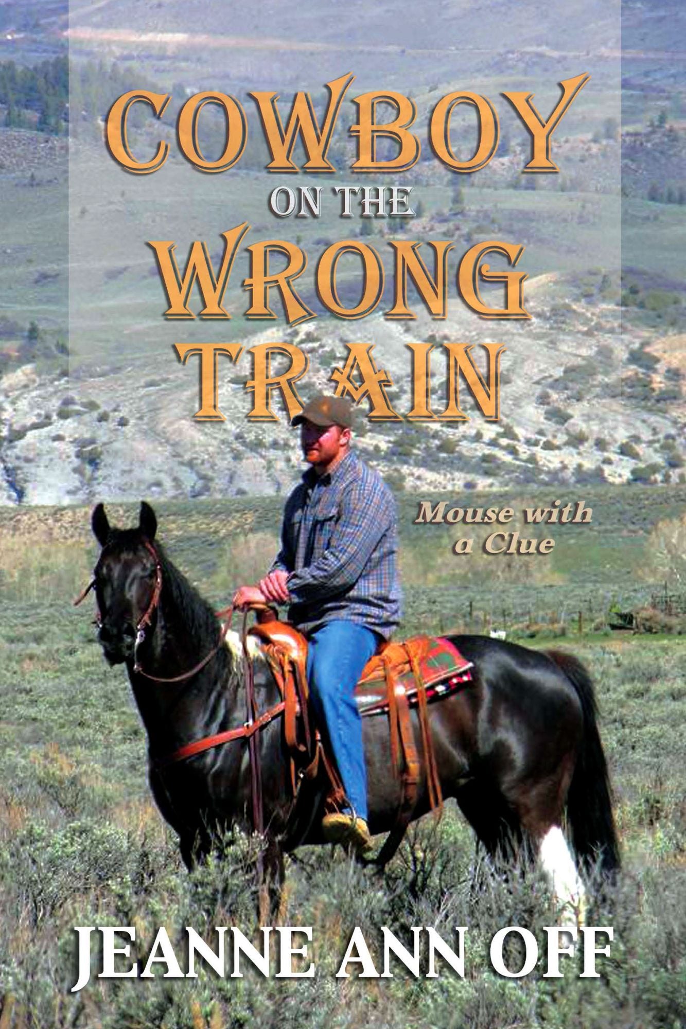 Cowboy on the Wrong Train: Mouse with a Clue