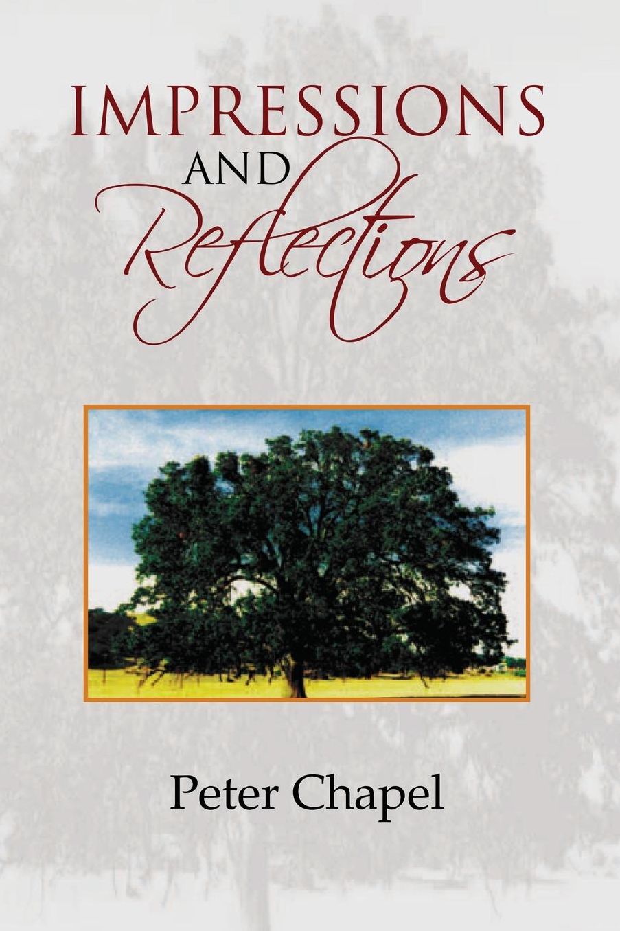 Impressions and Reflections