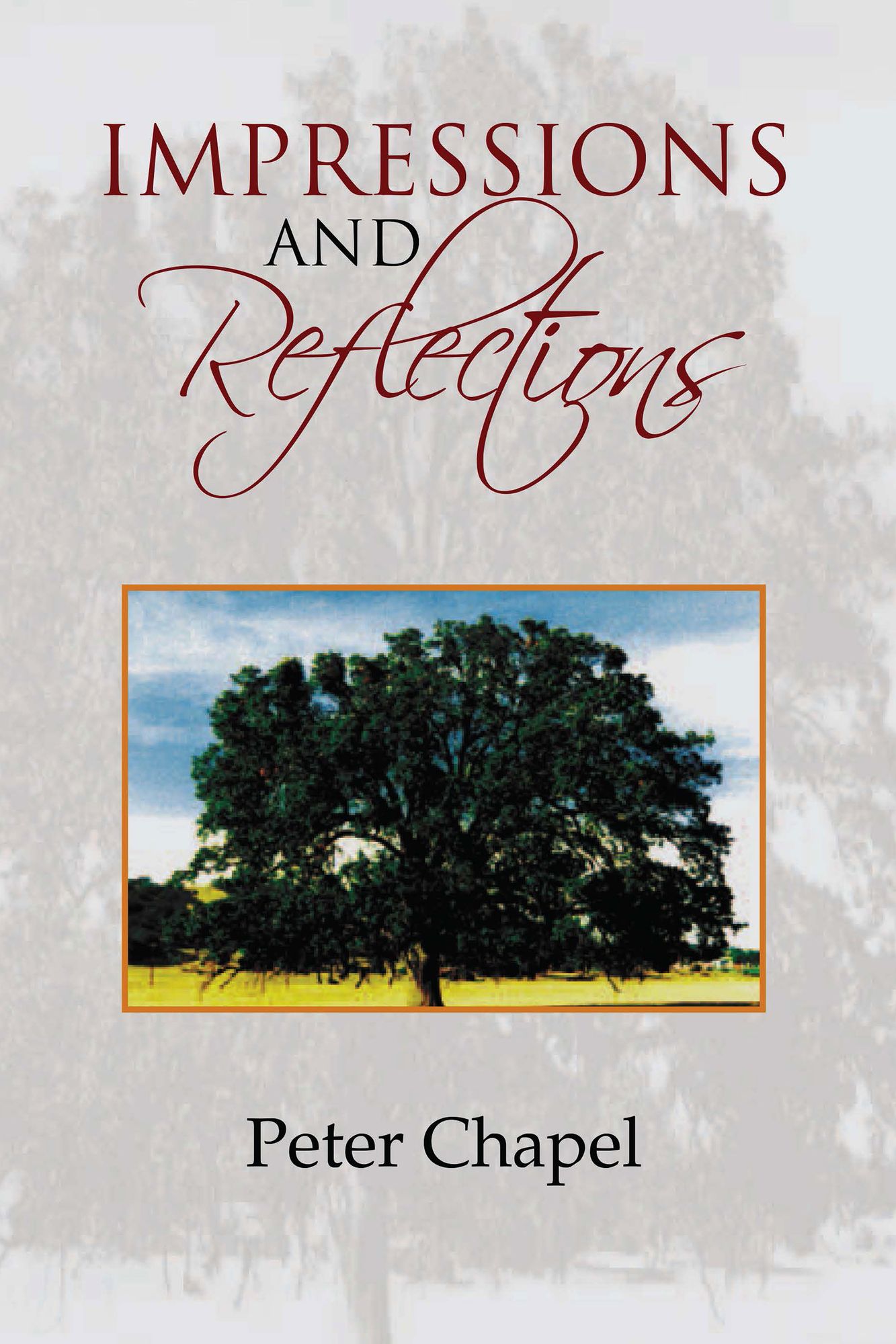 Impressions and Reflections
