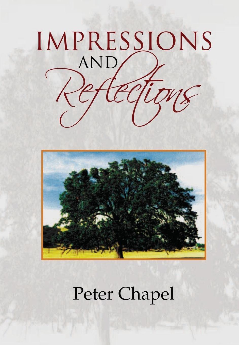 Impressions and Reflections