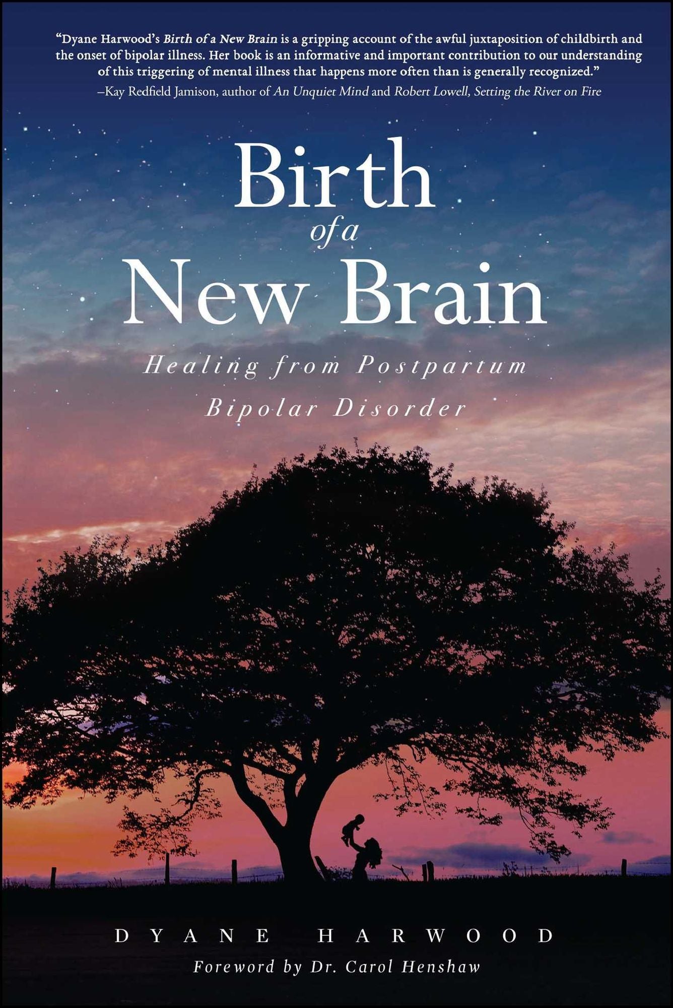 Birth of a New Brain: Healing from Postpartum Bipolar Disorder