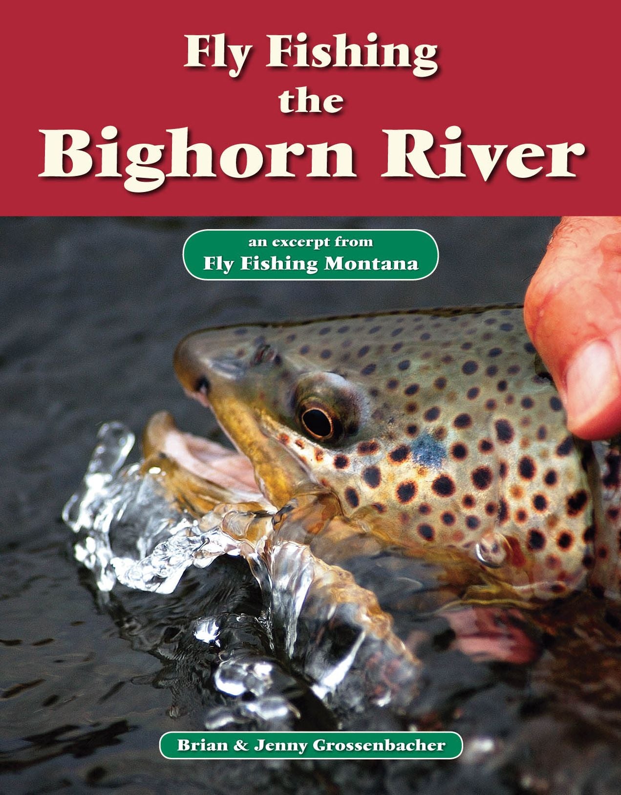 Fly Fishing the Bighorn River: An Excerpt from Fly Fishing Montana