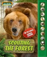 Scouting the Forest