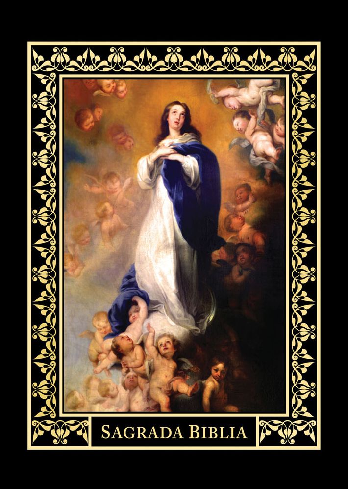Sagrada Biblia Edicion Inmaculada Biblia Catolica Familiar