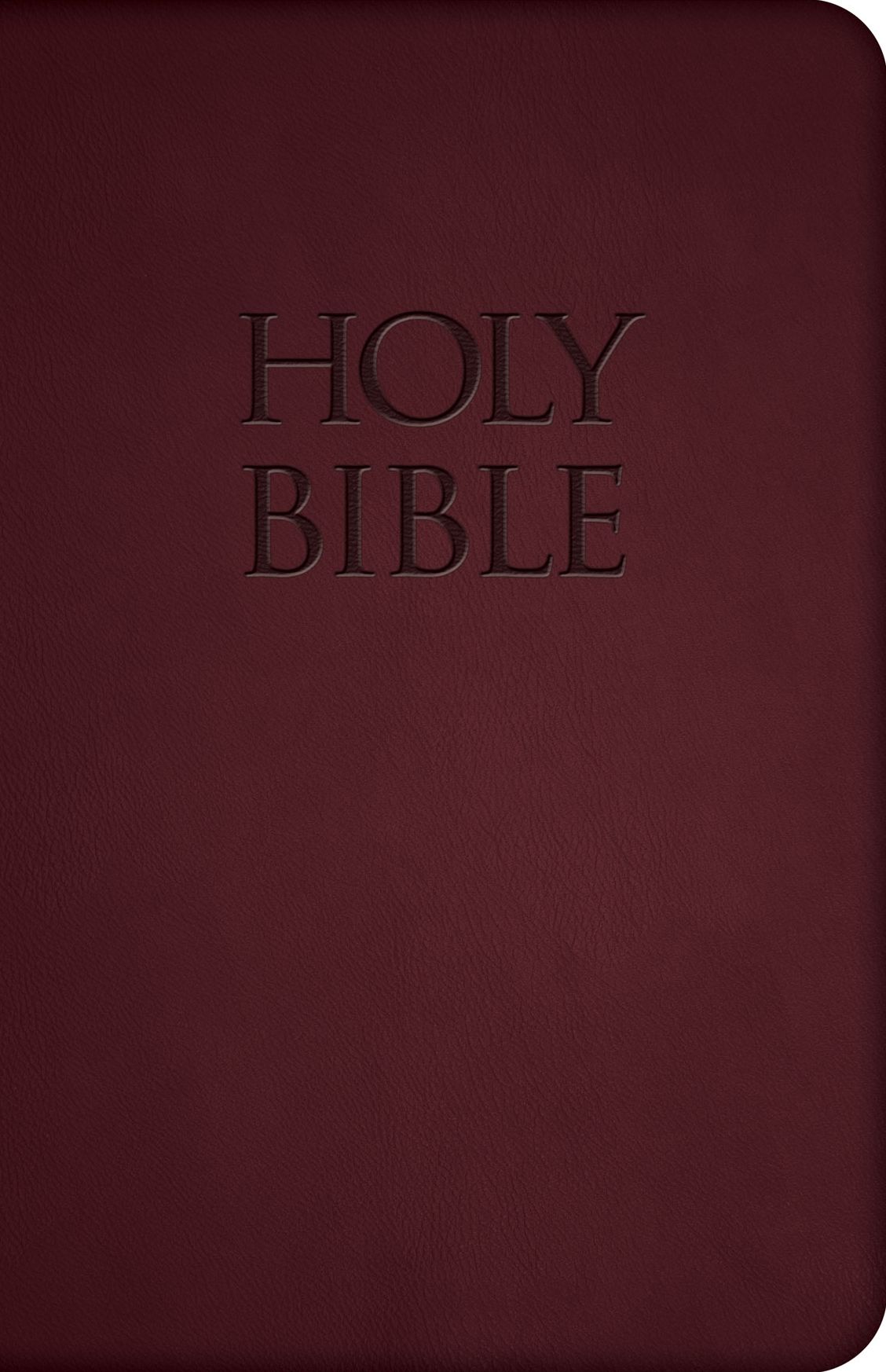 NABRE - New American Bible Revised Edition (Red Premium Ultrasoft)