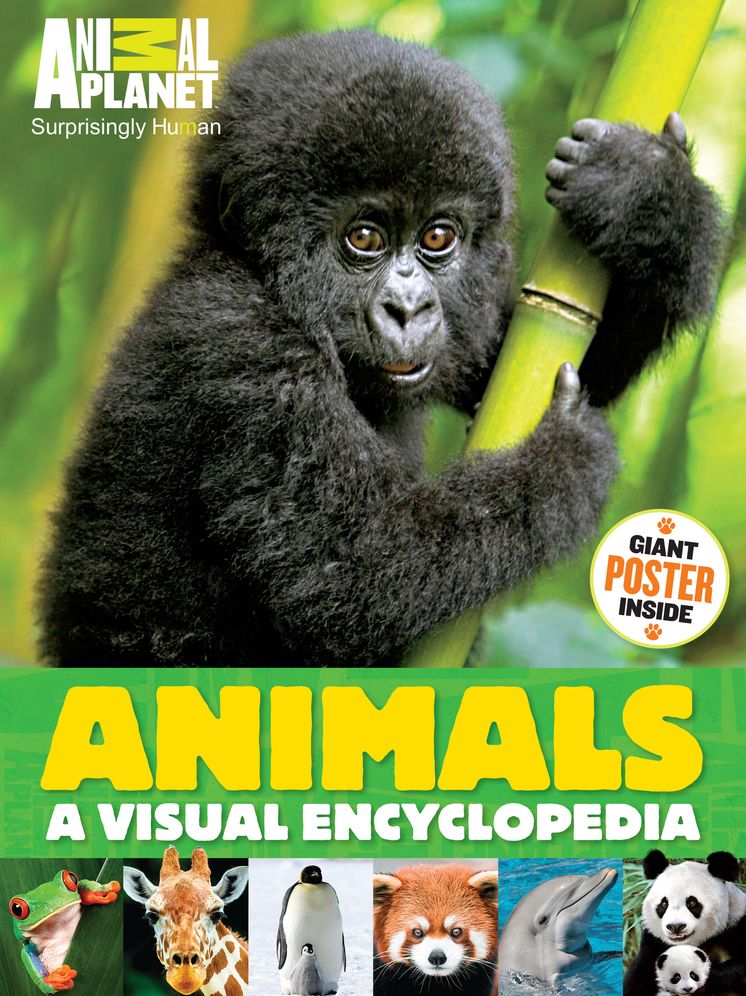 Animals: A Visual Encyclopedia (An Animal Planet Book)