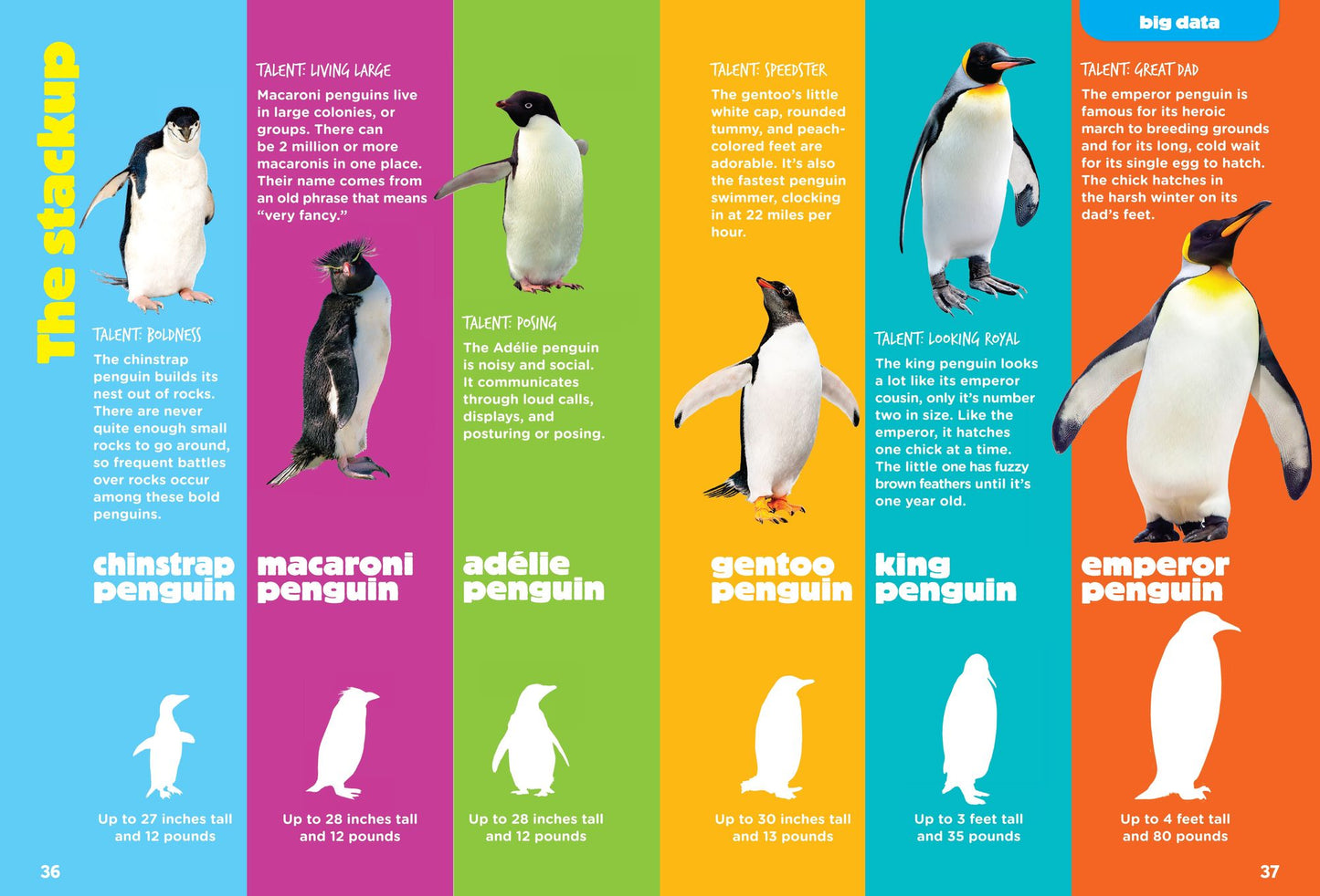 Polar Animals (Animal Planet Animal Bites)