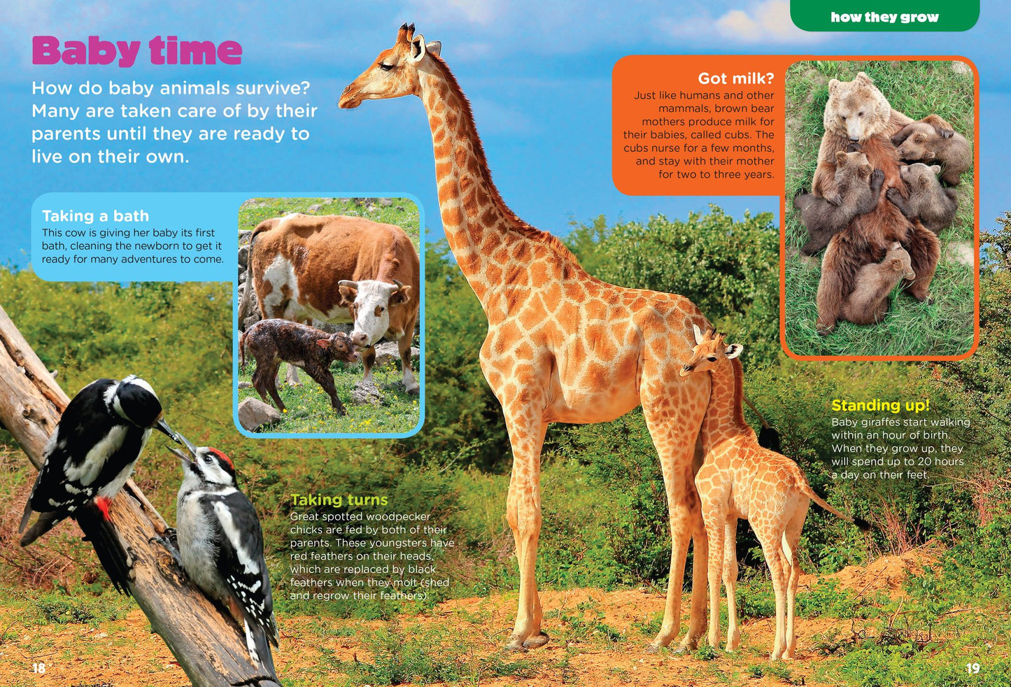 Baby Animals (Animal Planet Animal Bites)