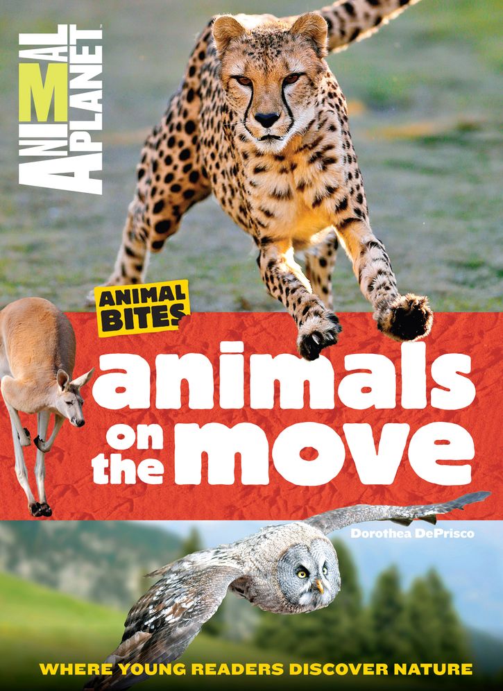 Animals on the Move (Animal Planet Animal Bites)