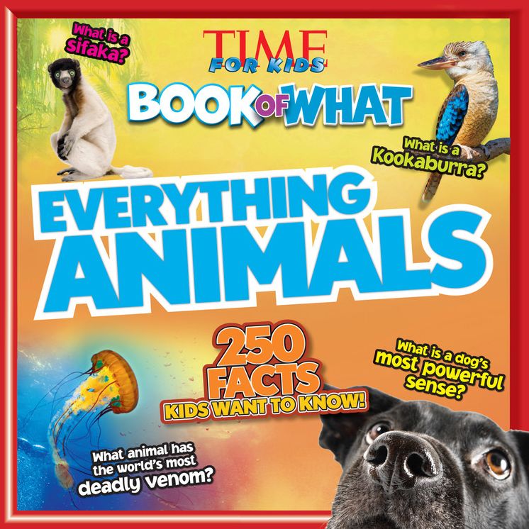 Everything Animals (TIME for Kids Book of WHAT)