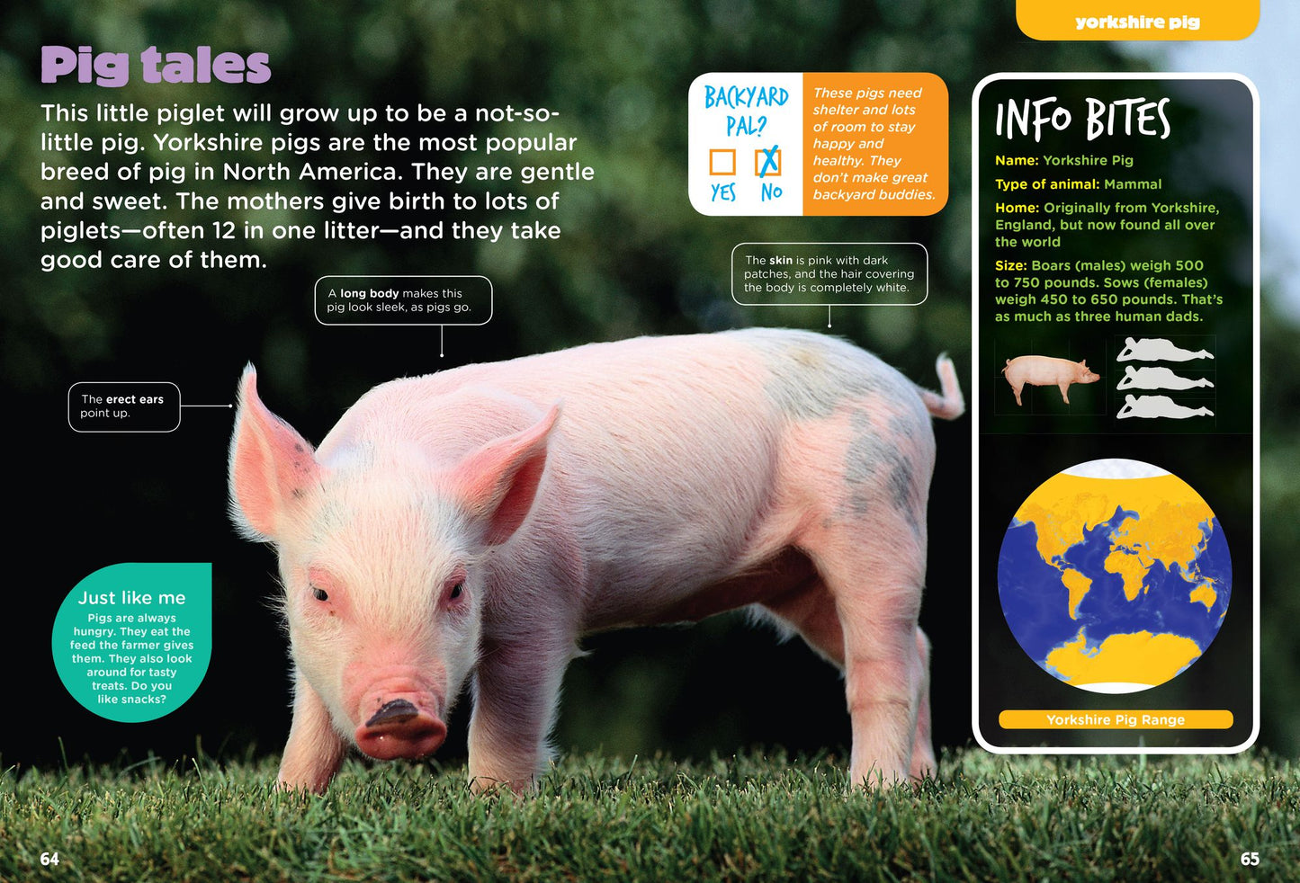 Farm Animals (Animal Planet Animal Bites)