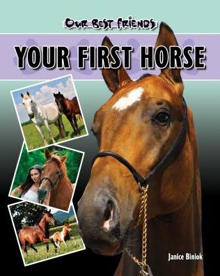 Your First Horse
