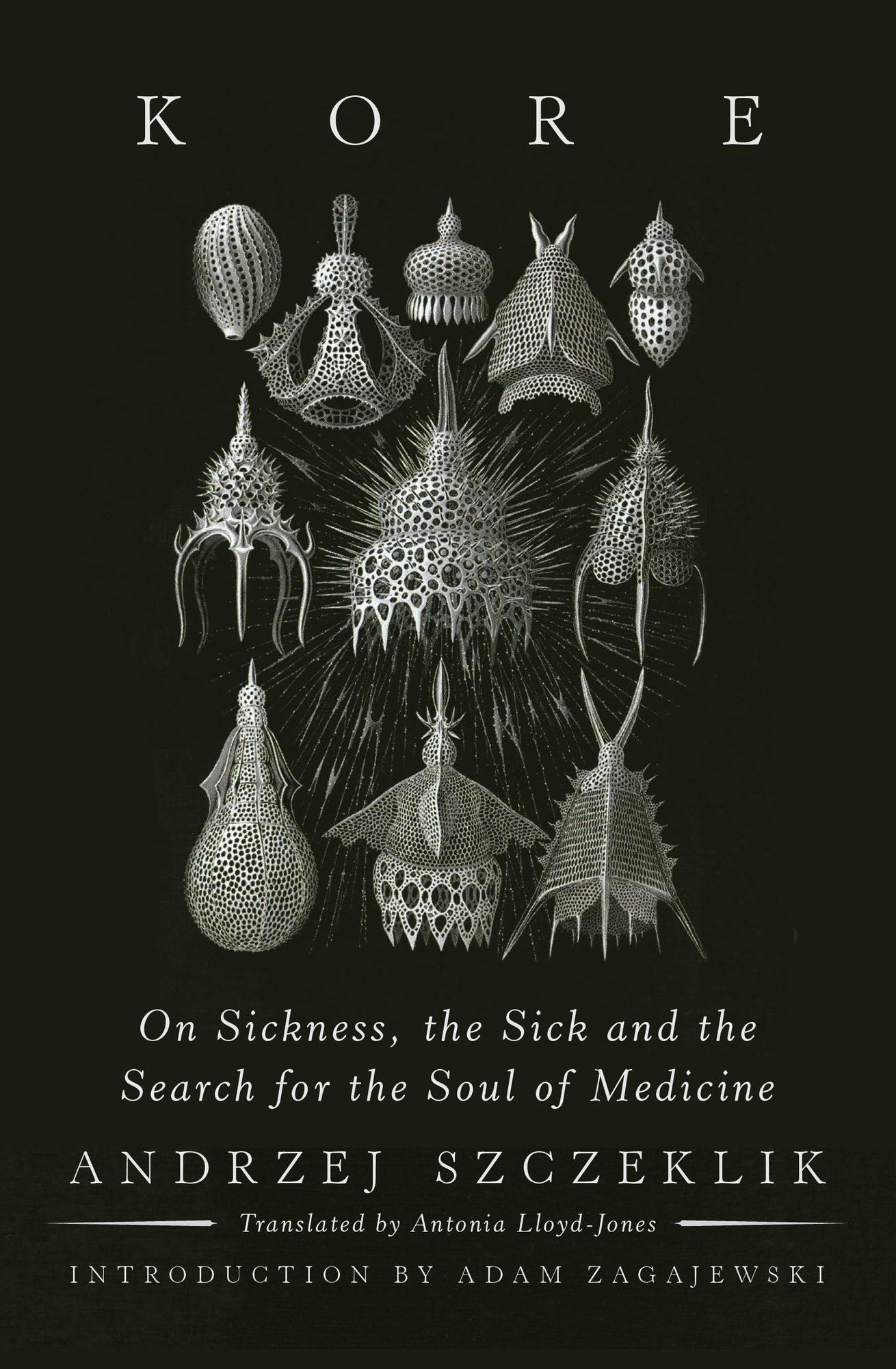 Kore: On Sickness, the Sick, and the Search for the Soul of Medicine