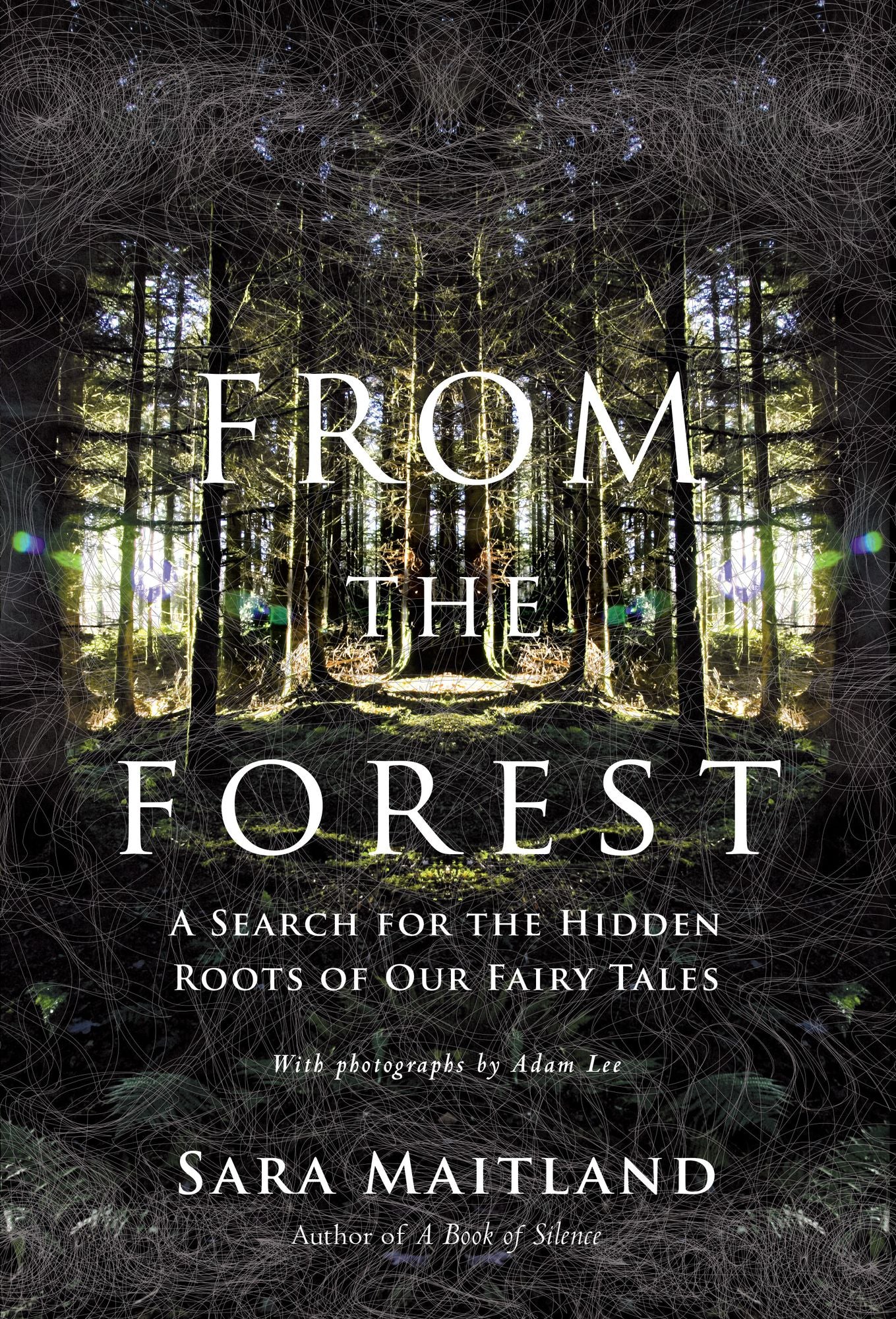 From the Forest: A Search for the Hidden Roots of our Fairytales