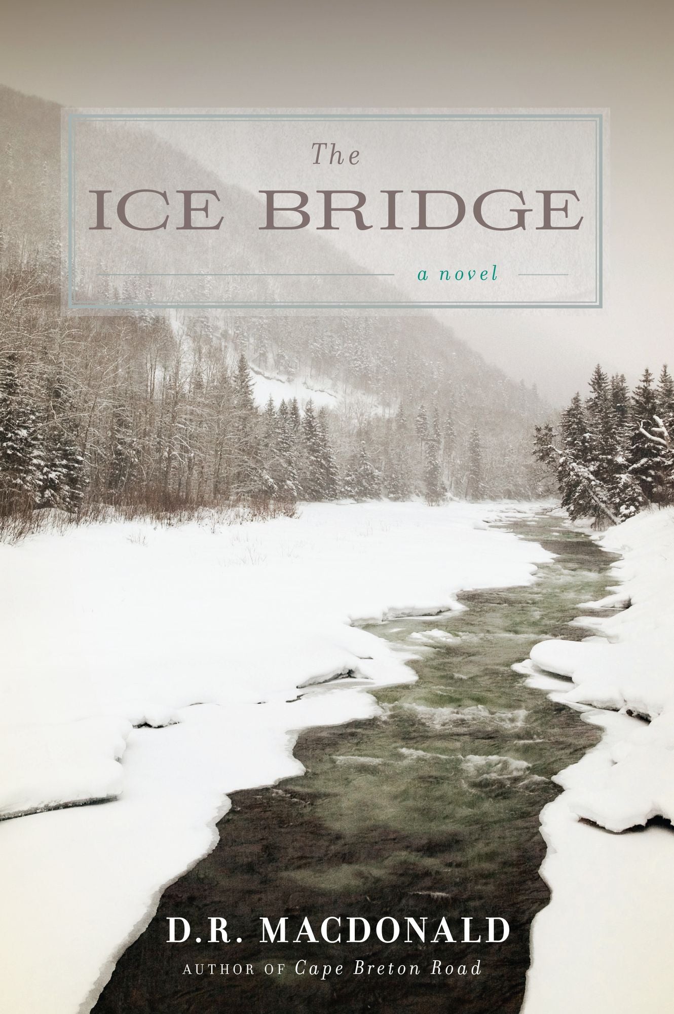 The Ice Bridge: A Novel