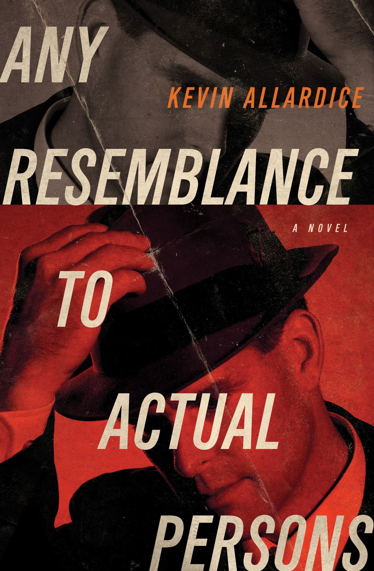 Any Resemblance to Actual Persons: A Novel