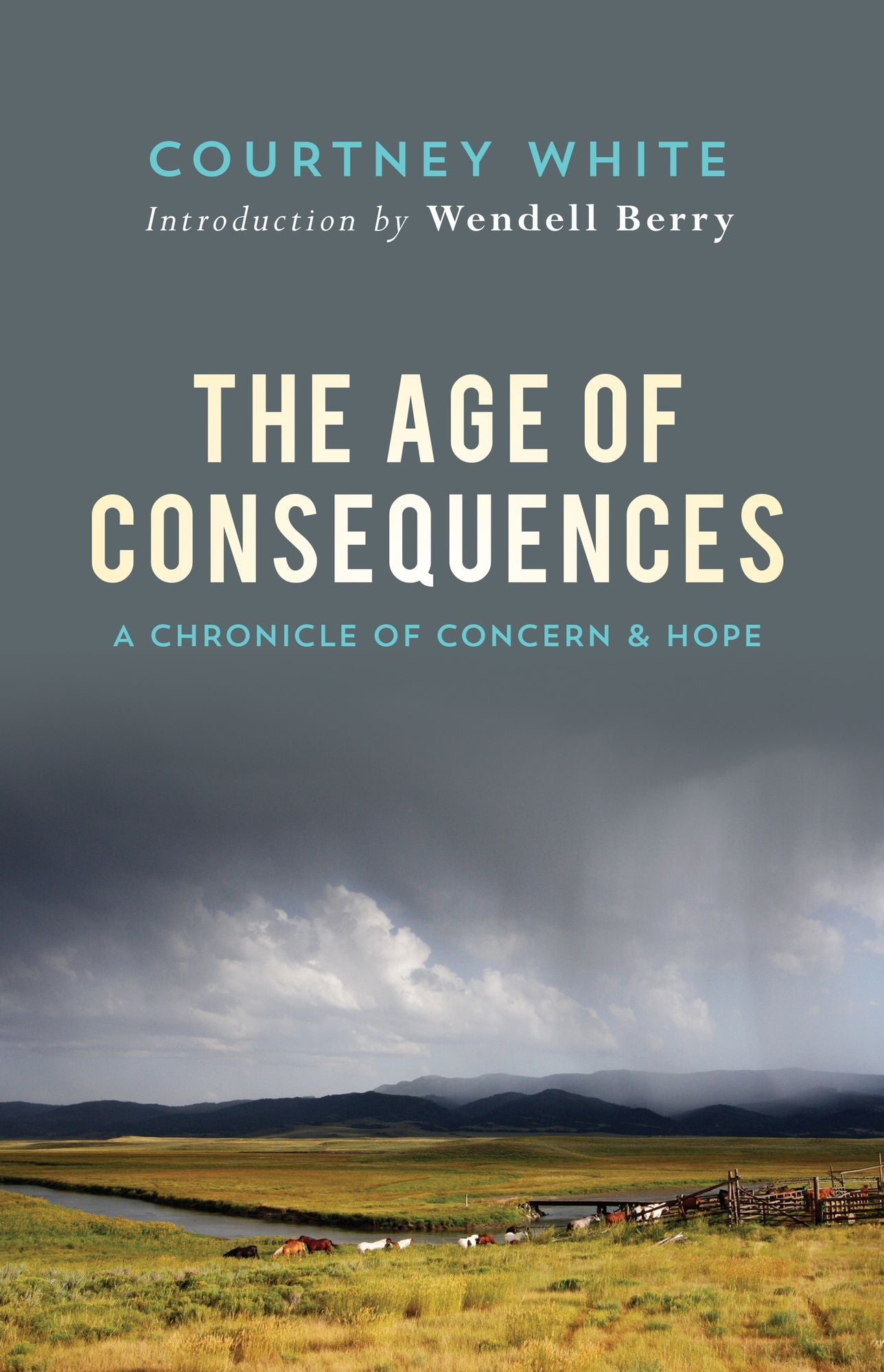 The Age of Consequences: A Chronicle of Concern and Hope